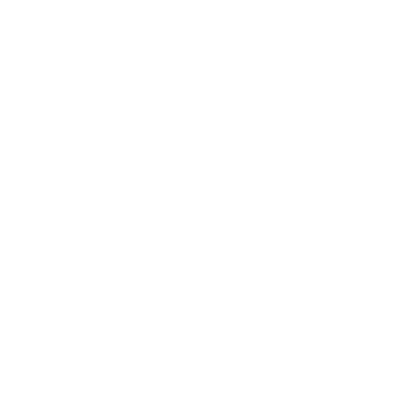 Facestudio - portfolio projekt